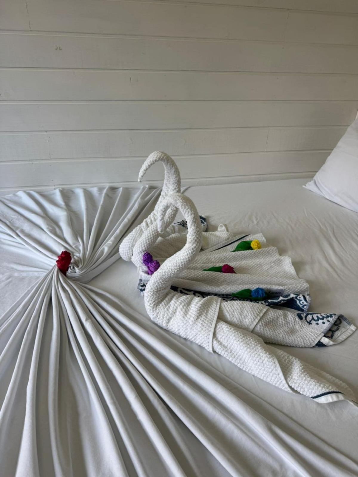 Pousada E Hostel Vale Do Rosa Praia do Rosa Zewnętrze zdjęcie